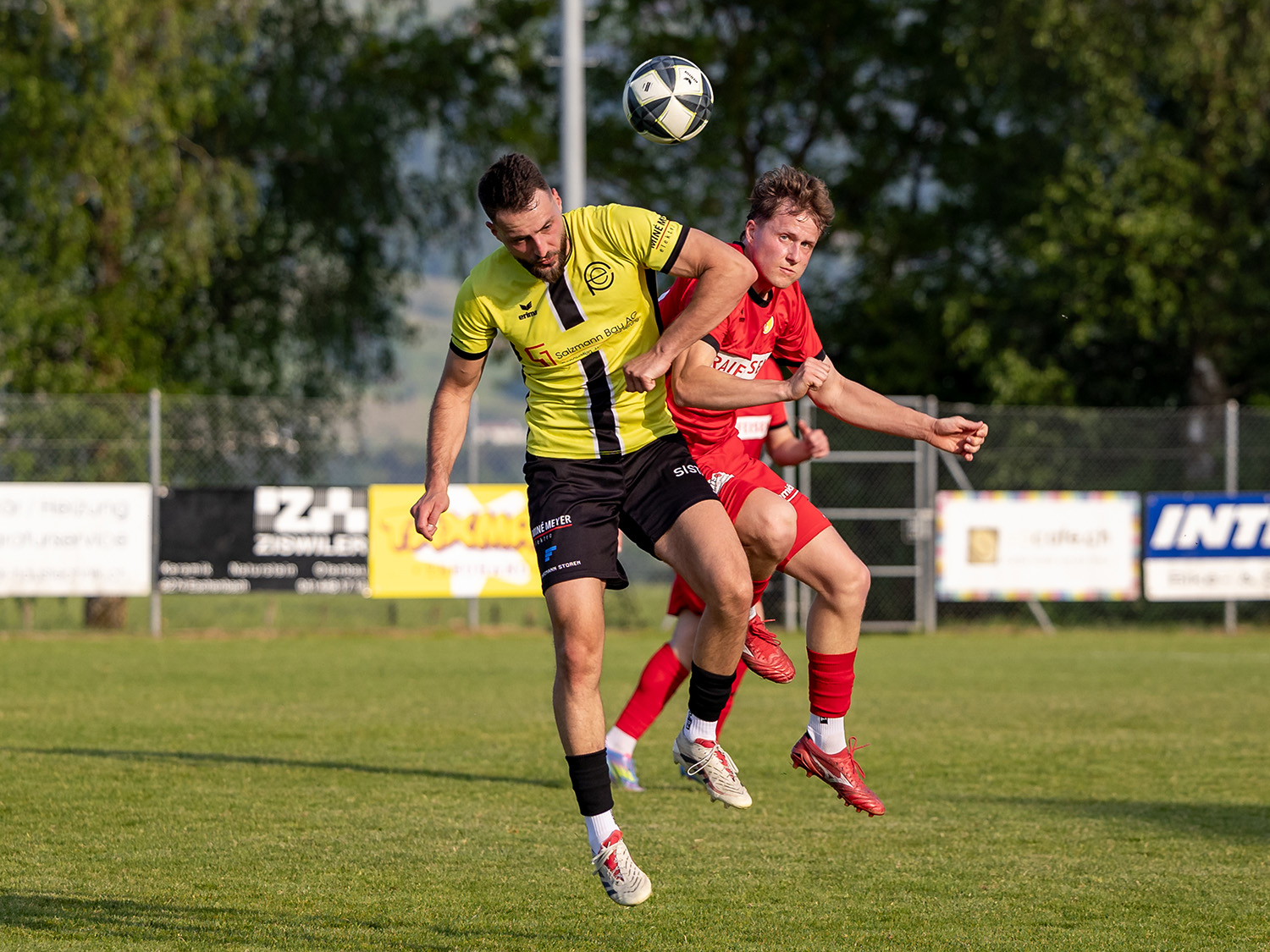 hdorf fce3