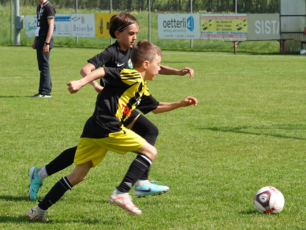 brunnen fce1