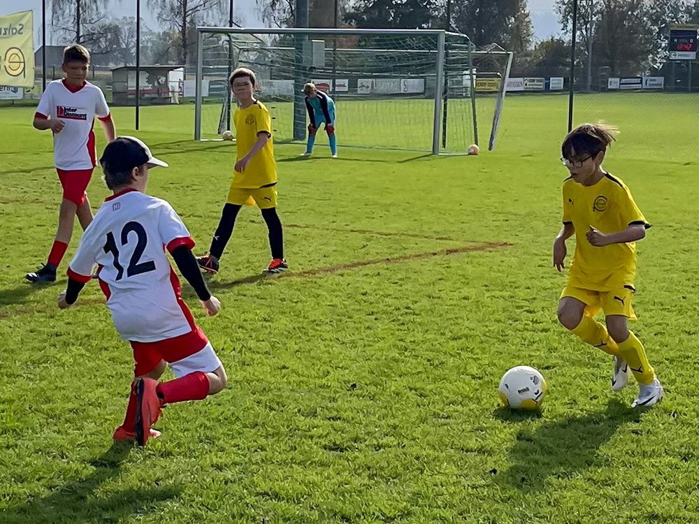 D-Junioren: Fünf Teams im goldenen Lernalter